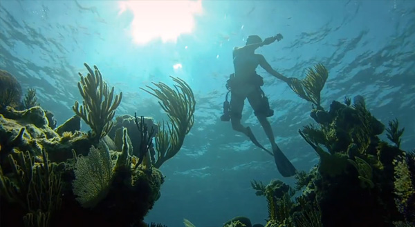 Snorkeling in Fort Lauderdale