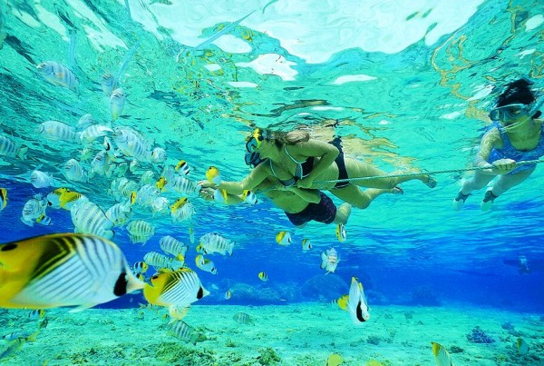 Services Yolo Boat Als Snorkeling In Fort Lauderdale Florida Spear Hutning Fish While