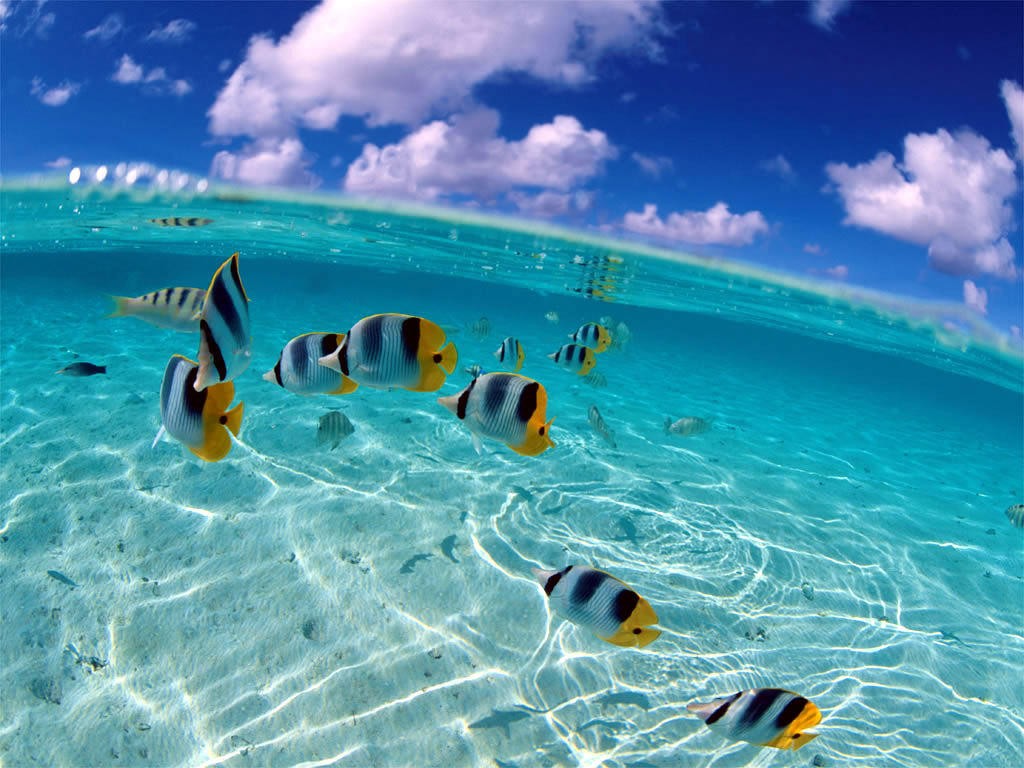 Bahamas waters