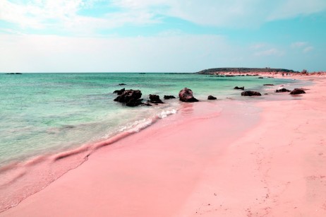 bahamas pink beach sand